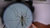 Hondura suma 38 muertes por dengue y más de 18.000 casos sospechosos en lo que va de 2024