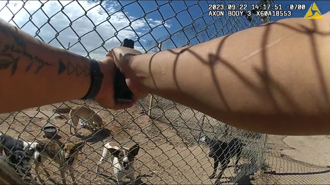 'Can you take the dogs?' Apache County deputy shoots 7 dogs that were abandoned and the county had no place for them