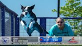 Woofs and waves: Bentonville’s CoolWag hosts diving competition for canines