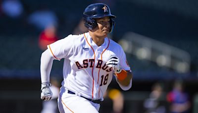 Houston Astros Release Brother of Franchise Icon