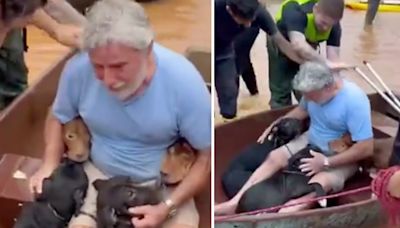 Arriesga su vida para salvar a sus 4 "hijos" (perritos) tras inundación y lo llaman "héroe sin capa"