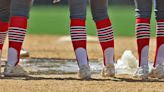 'I've never had a delay like that': High school softball game hits unexpected hindrance