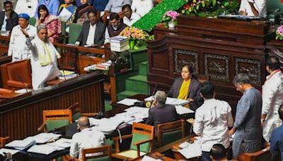 Karnataka jobs quota bill goes against the idea of India