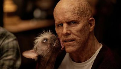 ‘Deadpool & Wolverine’ will feature a canine character voted Britain’s ‘ugliest dog,’ says Ryan Reynolds