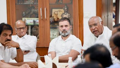 Farmer leaders from six States meet Rahul Gandhi