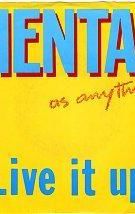 Live It Up (Mental As Anything song)