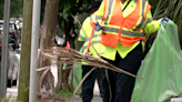 City of Charleston leads Westside Neighborhood clean-up