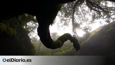 Entender El Hierro: diez claves para ver todo lo que hay que ver en la isla