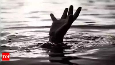 Man Drowns in Pond After Being Chased by Stray Dogs | Lucknow News - Times of India