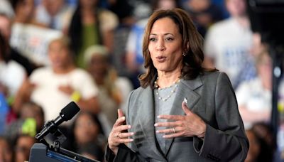 Some Democrat donors reportedly left fuming after Kamala Harris call: ‘A total failure’