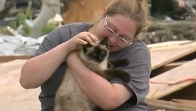 Cat Who Vanished During Tornado That Destroyed Her Home Reunites with Owner During News Broadcast