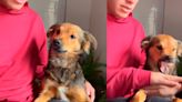 Trend de TikTok sale mal y perrito muerde a su dueño [VIDEO]