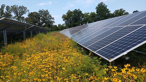 Virginia awarded $156M for solar energy in low-income communities