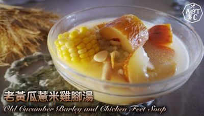 湯水食譜｜ 老黃瓜薏米雞腳湯 Old Cucumber Barley and Chi