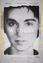 The Witness (2015 American film)