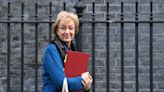 EU trade friction is price UK has to pay to be sovereign after Brexit - Leadsom