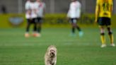 Bolivia Argentina Soccer Copa Sudamericana