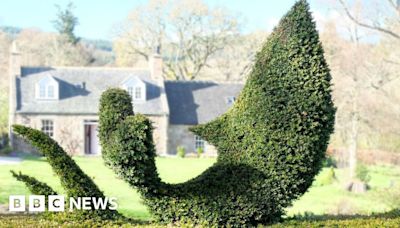 Scots gardener wins award for Moby Dick inspired hedge