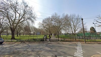 Murder investigation after park stabbing in east London