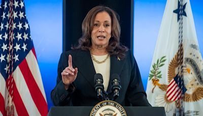 Six Democrats who could be VP picks for Harris