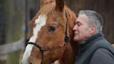 How a Tiverton equine therapy program improves mental health: 'The horses make you capable'