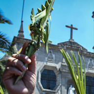 Palm Sunday