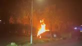 Firebomb mayhem continues in Scots town as yobs torch more cars