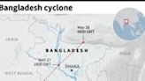 Key tiger habitat swamped by deadly Bangladesh cyclone
