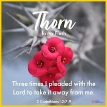 Thorn in the flesh bible verse scripture & how to deal with it ...