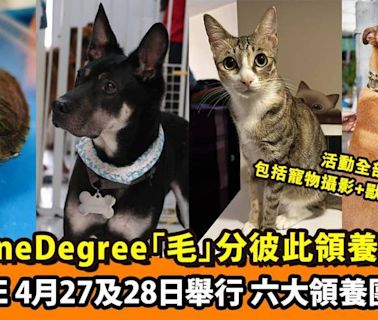 OneDegree舉辦全港首個大型跨動物品種、跨領養機構大型領養活動 4月27及28日去Airside搵新家人 兼帶毛孩一齊玩免費活動！