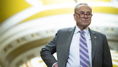 Schumer Carries Water for Crypto