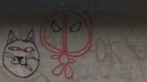 Local police look for person who drew 'artistic murals' on wall of public park