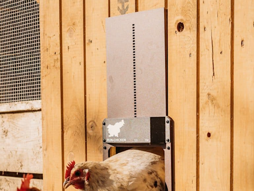 These Are the Safest and Most Reliable Automatic Doors for Your Chicken Coop
