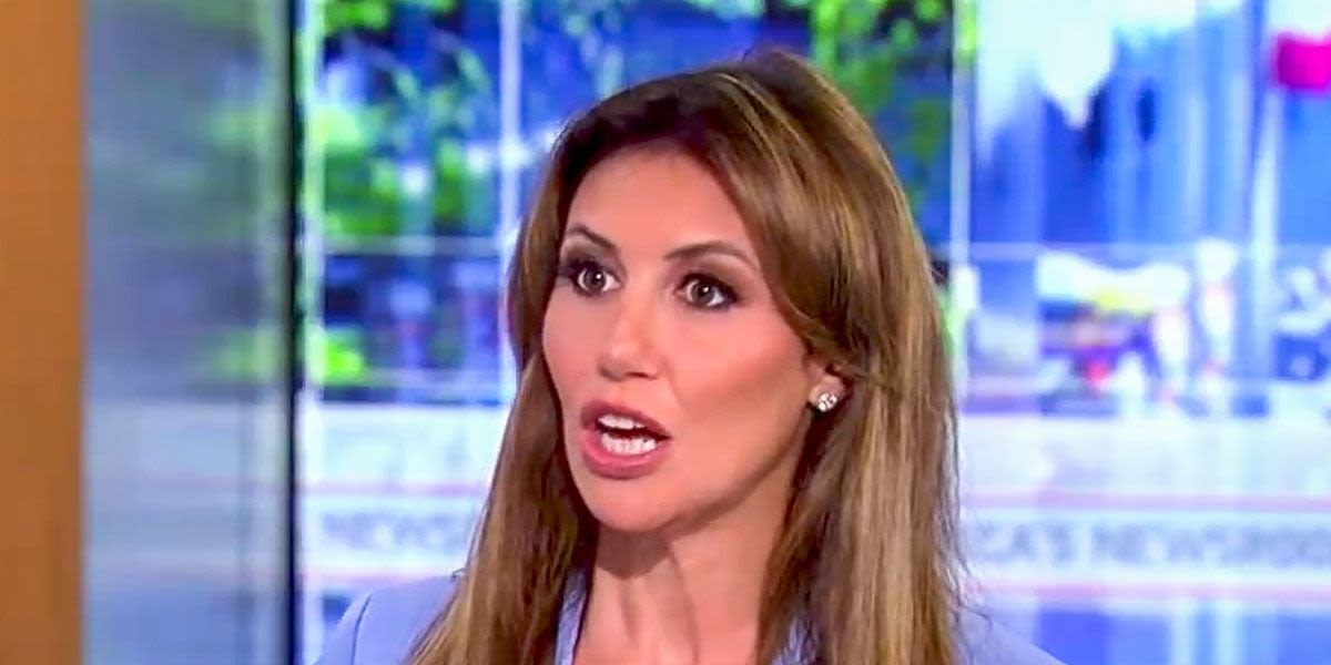 'The judge blamed you': Fox News host turns tables on Alina Habba over Stormy Daniels