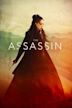 The Assassin (2015 film)