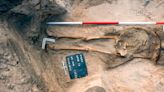 Female "vampire" skeleton unearthed in Poland: "Pure astonishment"