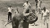 The Phoenix Zoo is one of the largest in the US. See what it looked like when it opened