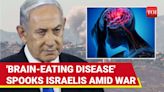 Brain-Eating Ameoba Sparks Fear and Panic In Israel After Man Dies Of Infection | Watch