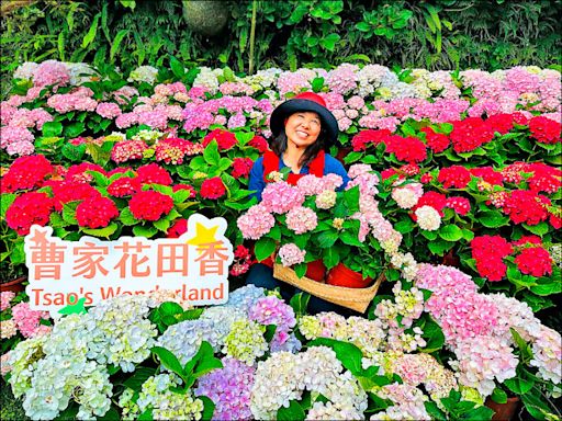 《城市人物誌》曹瑞芸返鄉 打造繡球花農園