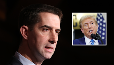 Tom Cotton confronted with 2020 remark on Trump peacefully leaving office