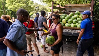 NC’s Watermelon Lady finds viral fame, selling fruit so good it literally stops traffic