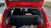 Polícia encontra mais de R$ 1 milhão dentro de porta-malas de carro abandonado em São Luís