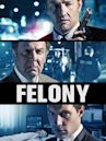 Felony (film)