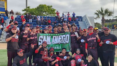 Walk-off homer lifts Mount Miguel to Division 5 baseball title over Kearny