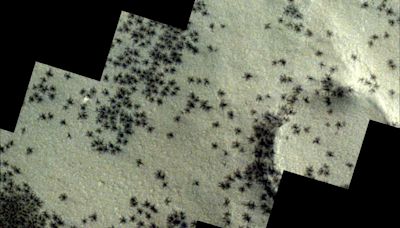 The ESA's ExoMars Orbiter Captures Swarms of Dark "Spiders" on the Surface of Mars