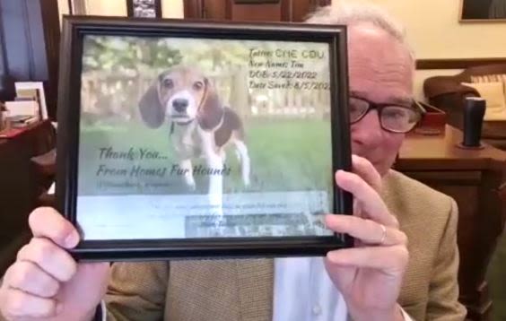 Virginia officials react to beagle breeder Envigo’s ‘historic’ plea in animal welfare case