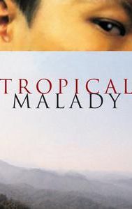 Tropical Malady