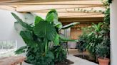 4 unbelievable ways designers have created indoor gardens - they'll transform your unloved corners
