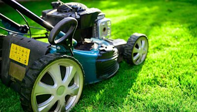 Mystery woman bought lawnmower after winning £1m