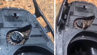 ‘New Fear Unlocked’: Internet Reacts To Python Coiled Around Scooter’s Fuel Tank - News18